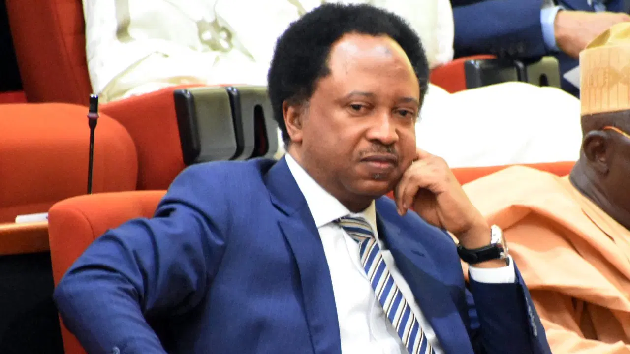 Visa Crackdown: Shehu Sani Warns Nigerians in US to ‘Return Home Before Trump Arrests You’