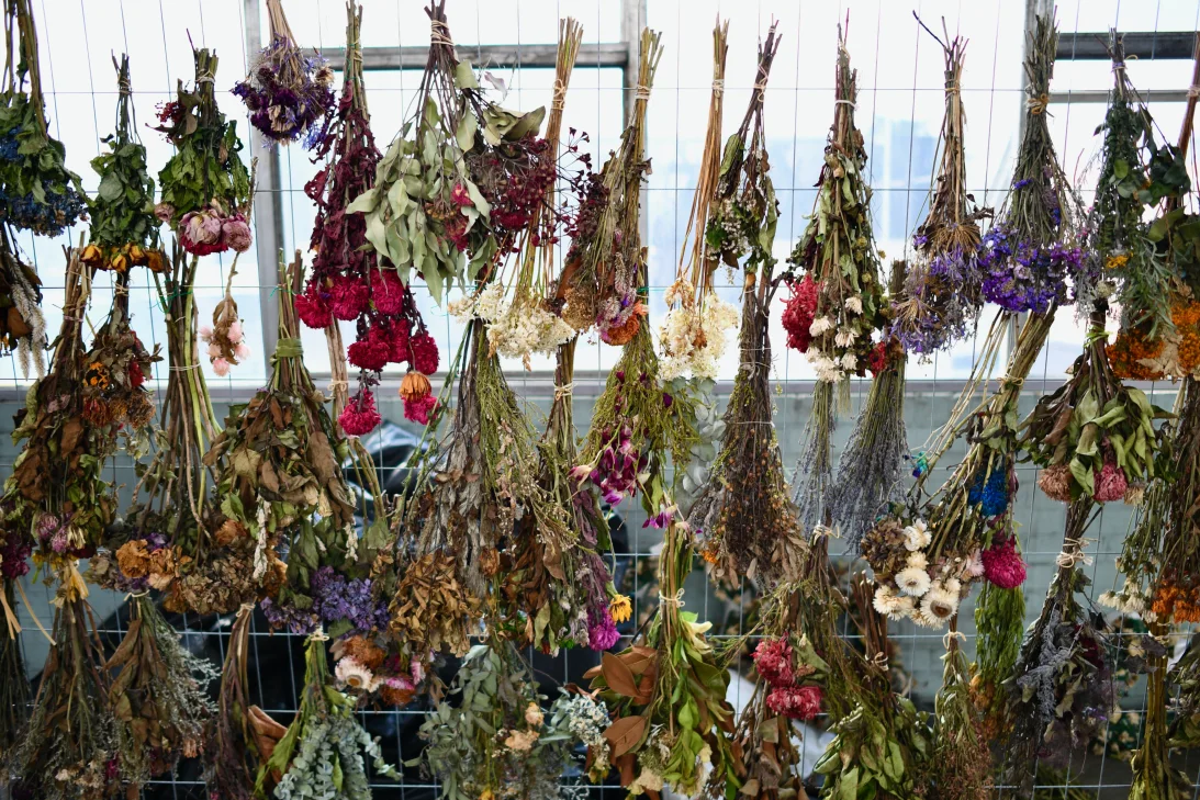 Three Tons of Bondi Beach Memorial Flowers to Become Art in Tribute to Deadliest Mass Shooting