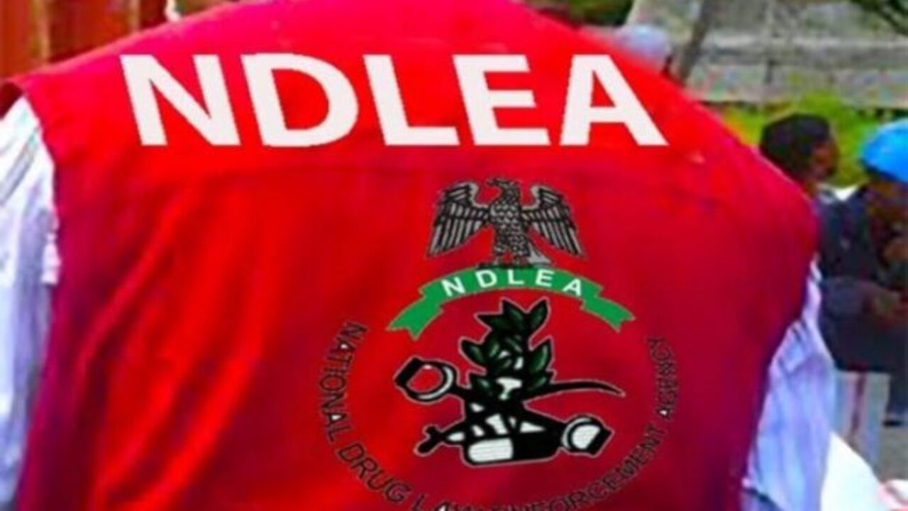 Ramadan Crackdown: NDLEA Arrests 19 in Kano Drug Raid, Dismantles Gezawa Drug Dens