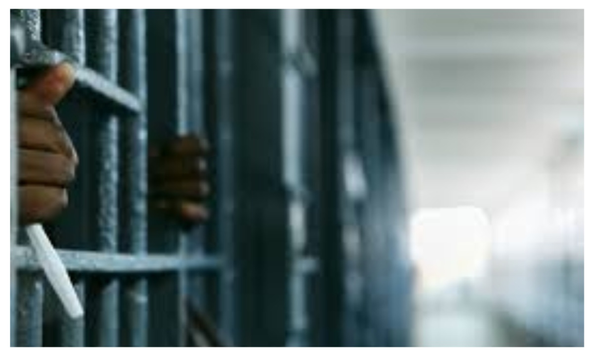 Man Sentenced to 15 Years in Kano for Illegal Cannabis Possession