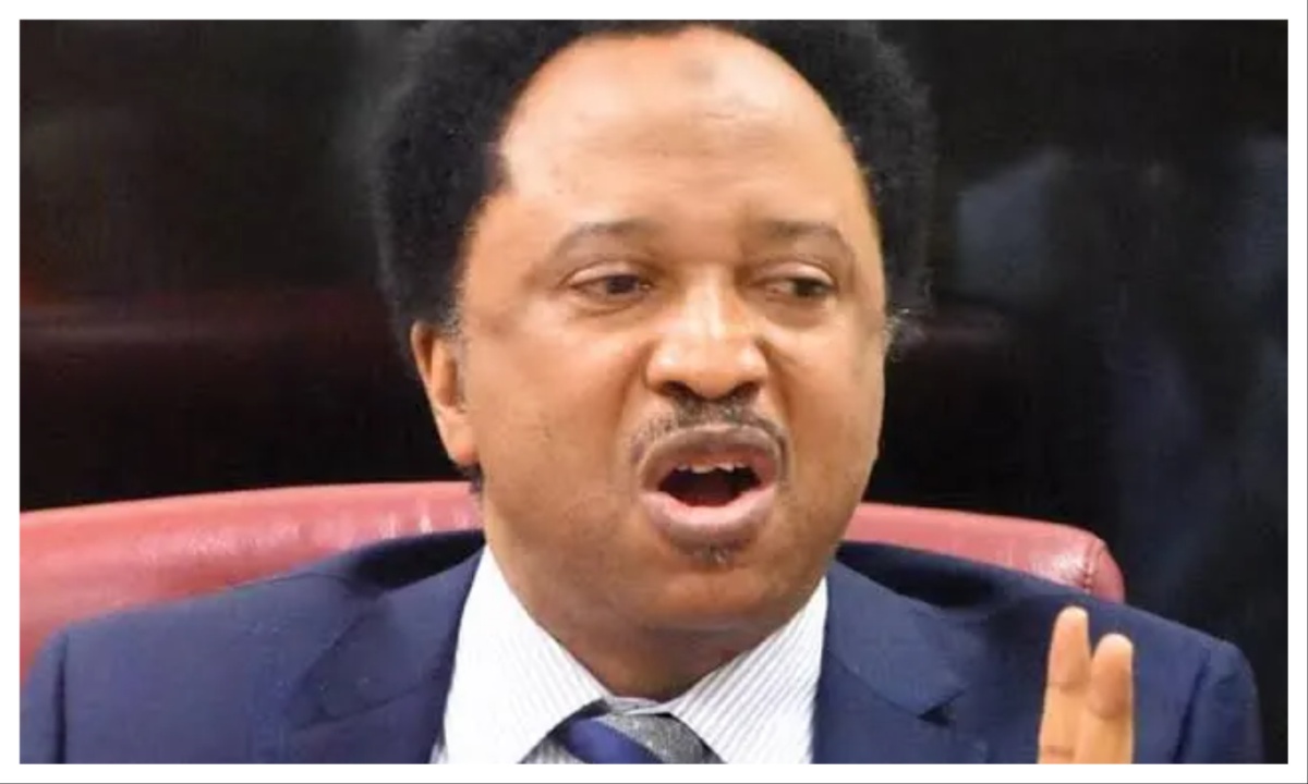 Shehu Sani Links Rising Northern Terror Attacks to 2027 Elections