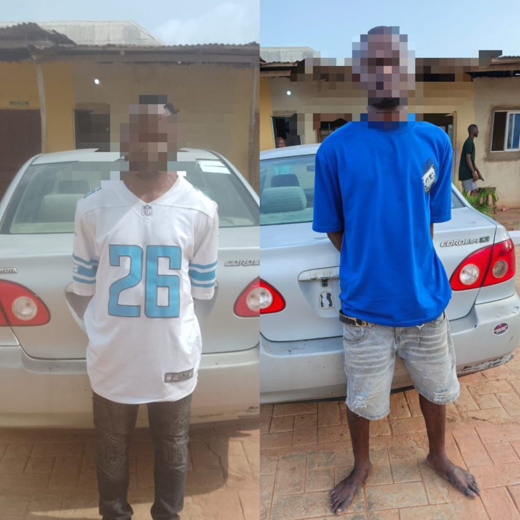 Ogun Police Arrest Suspected Car Snatchers, Recover Stolen Toyota Venza, Corolla, Honda Crosstour