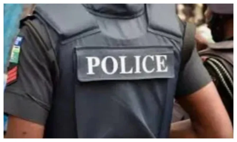 Bauchi Police Arrest Man Over Alleged Defilement of Eight-Month-Old Stepdaughter
