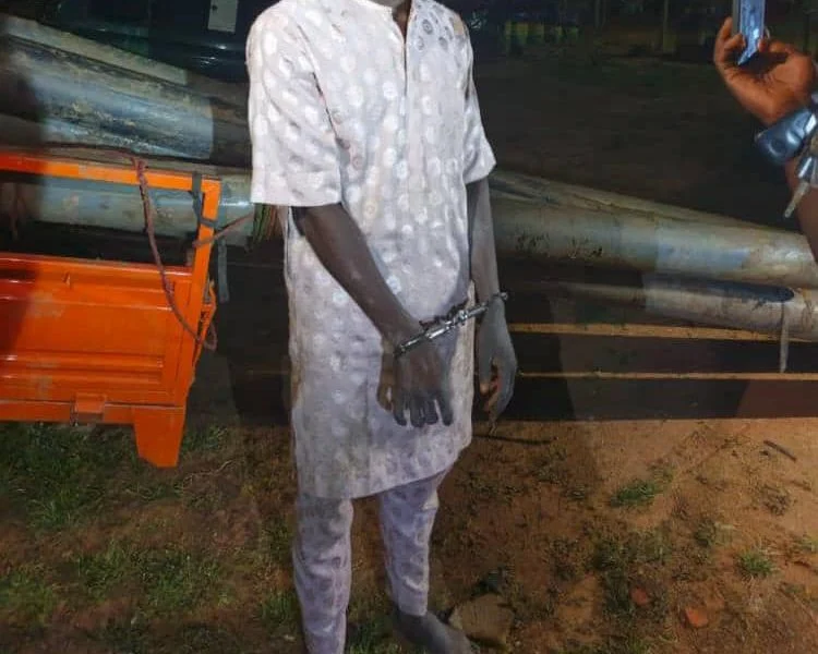 Adamawa Police Arrest Two Over Alleged Theft of Bamanga Tukur’s Irrigation Pipes
