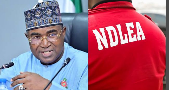 NDLEA Arrests Mexican Drug Kingpin, Dismantles Meth Lab in Ebonyi as Marwa Warns Cartels