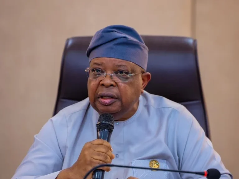 Power Minister Admits Many Nigerians Still Lack Reliable Electricity, Says Reforms Will Take Time
