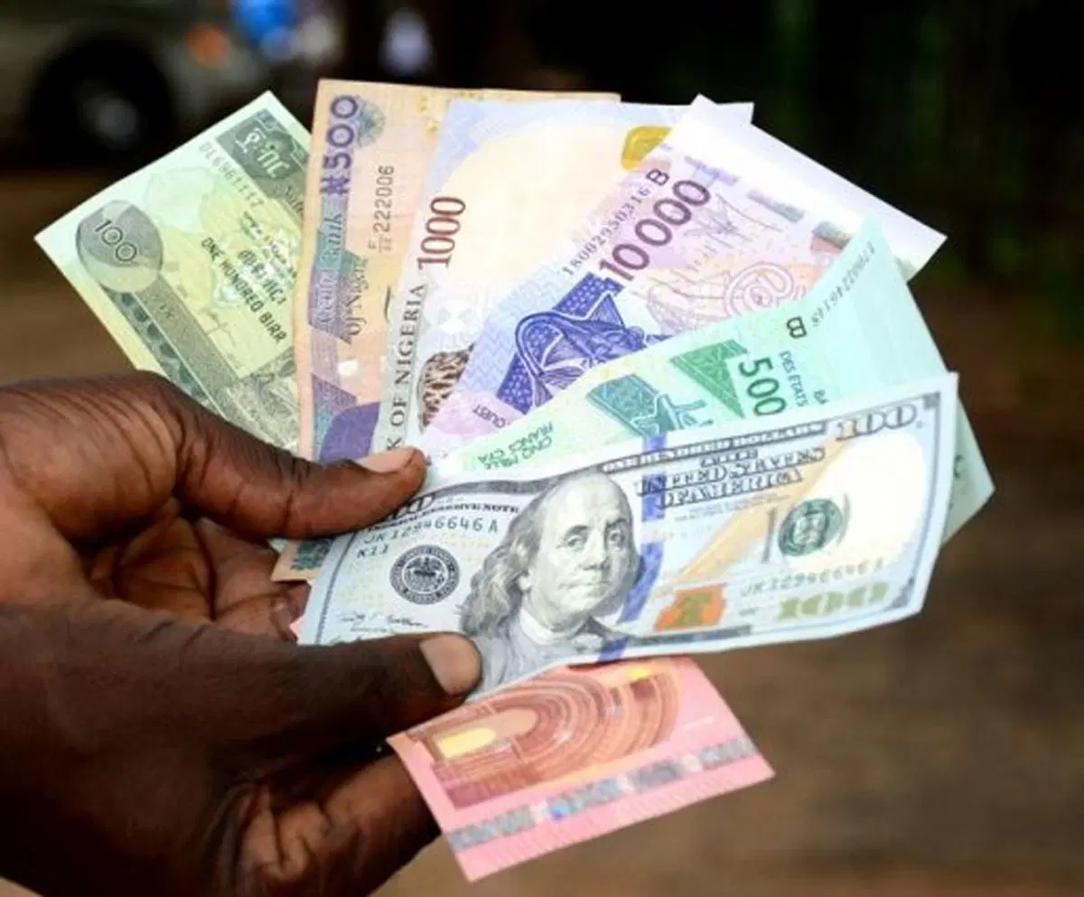 Nigeria’s Net Forex Inflow Rises 36.5% to $33.76bn in Five Months