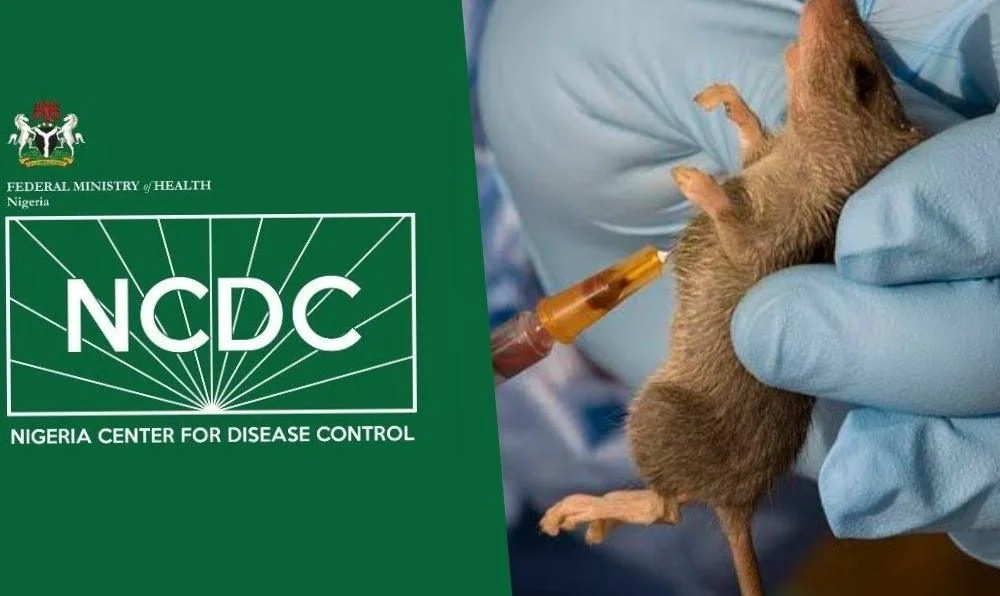 Lassa Fever: NCDC Confirms 14 New Cases, Death Toll Rises to 252 in Nigeria