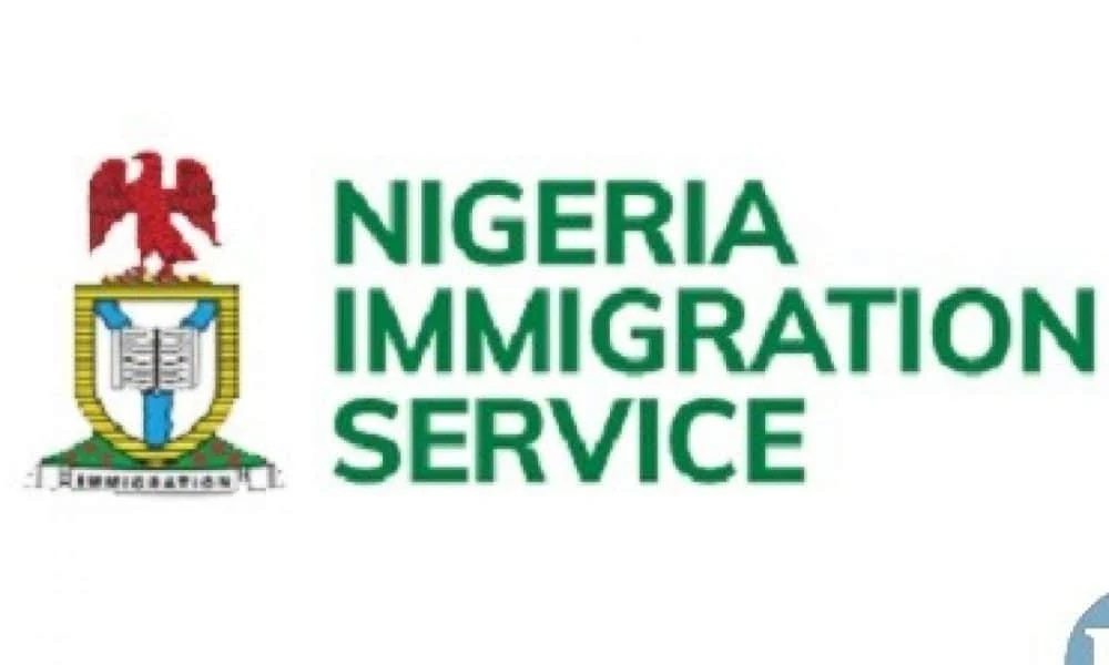 NIS Confirms Officer’s Death After Gunmen Attack Patrol Team in Niger