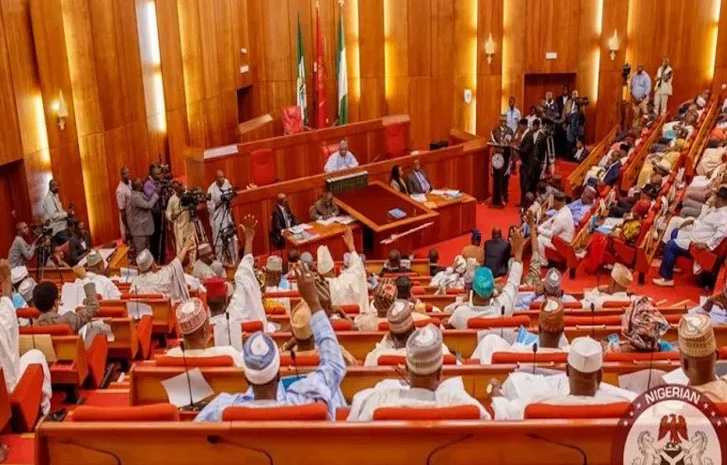 Senate Declares Kebbi Insecurity, Mass Displacement National Emergency