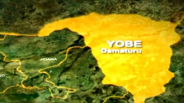 14-Year-Old Drowns, Child Missing After River Sweeps Them Away in Yobe