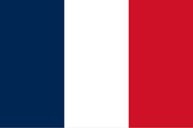 France Announces Fresh Curfews as Riots Leave Thousands in Police Custom