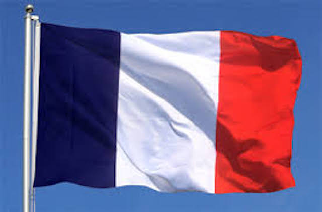 France Suspends Stun Grenades After Teen Loses Hand During Student Protests