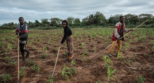 Madagascar Faces Fresh Famine Threat as El Niño Looms, With 270,000 Children at Risk