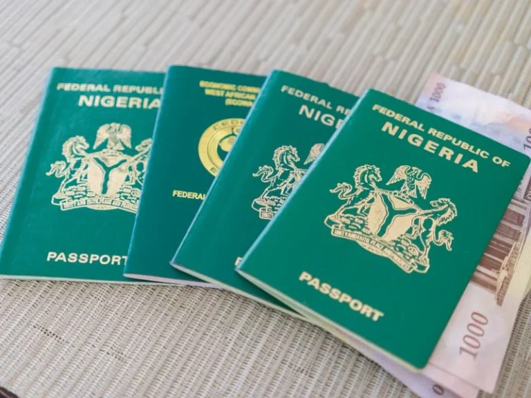 Nigeria’s Passport Plunges to 181st in IziVisa Ranking, With 24 Visa-Free Destinations