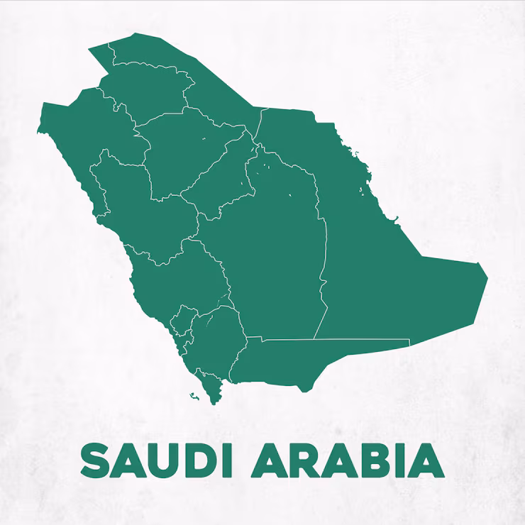 IMF Forecasts 3.3% Economic Contraction for Saudi Arabia as Houthi Attacks Escalate